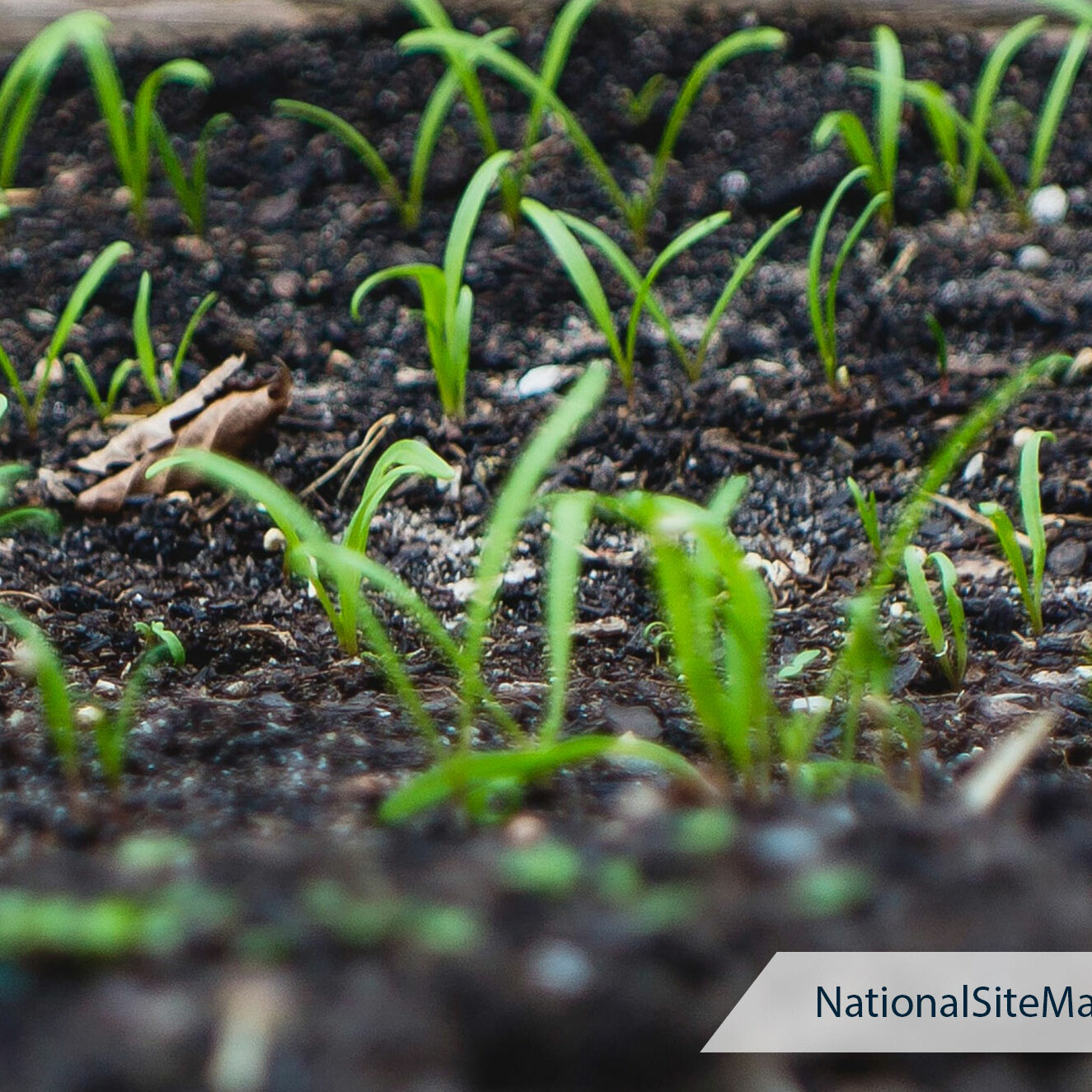 Topsoil vs. Manure - National Site Materials